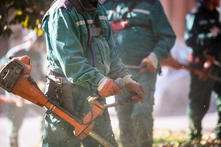 Professional landscaping team