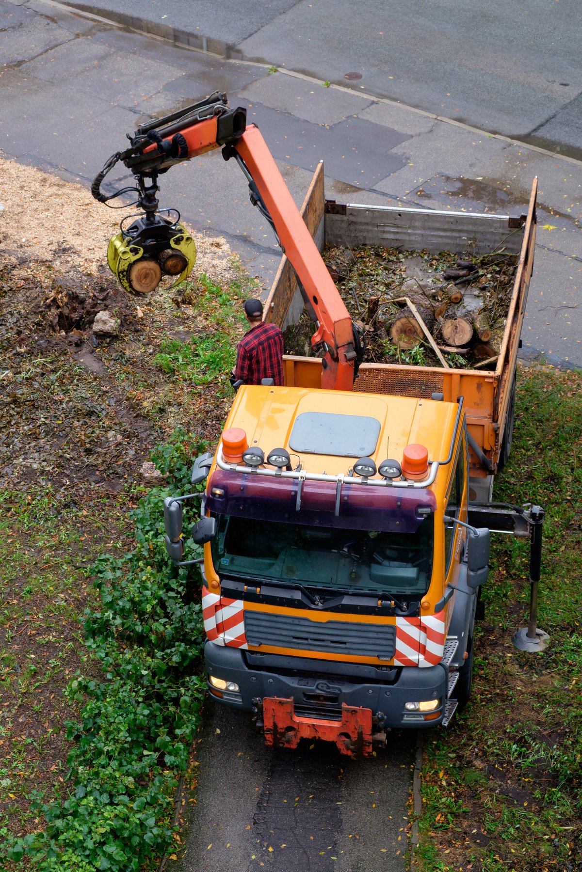 Professional tree debris removal