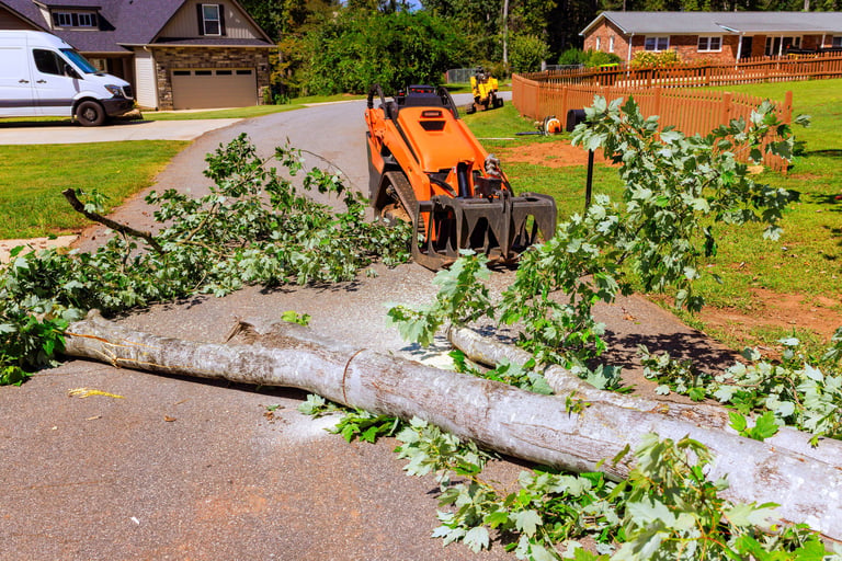 Crawler tractor removing debris