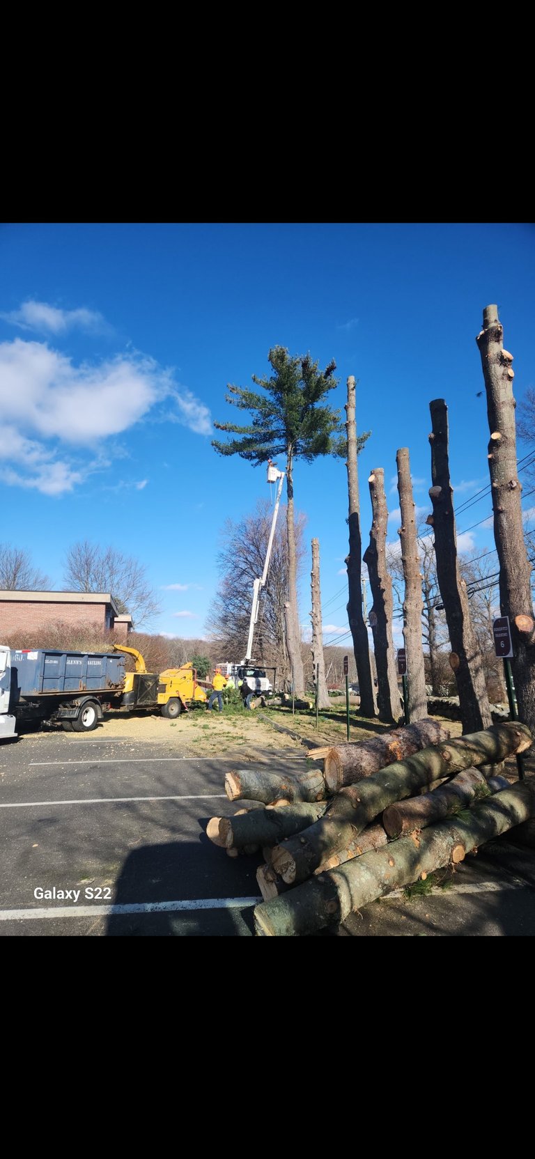 Logging operation with stacked tree logs in foreground, heavy equipment and workers