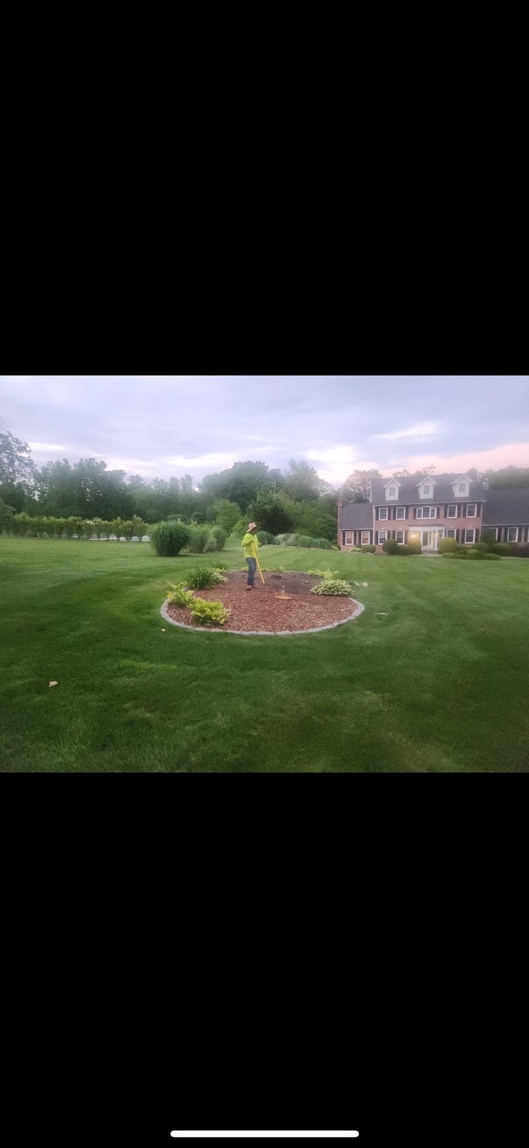 Person in yellow shirt standing in circular mulch garden bed on spacious lawn with brick house in background at dusk