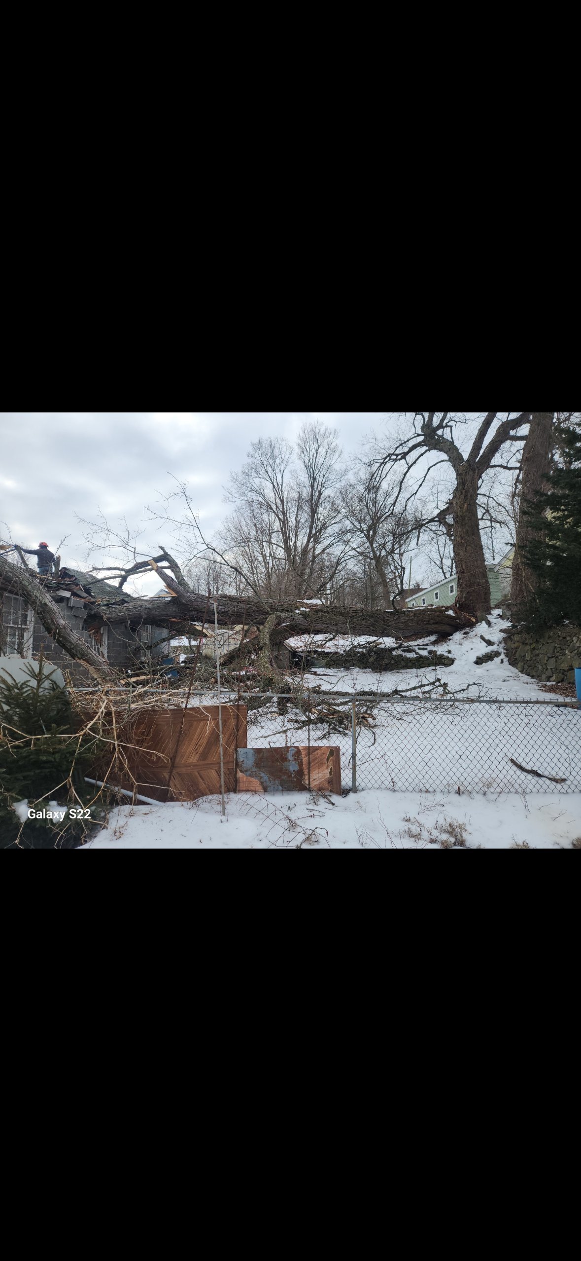 Snowy residential yard with downed trees, fallen branches, and wood debris piled near a fence and house