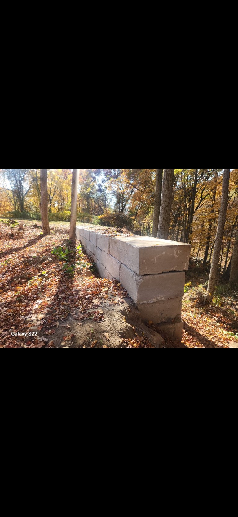 Concrete retaining wall in wooded area with autumn foliage